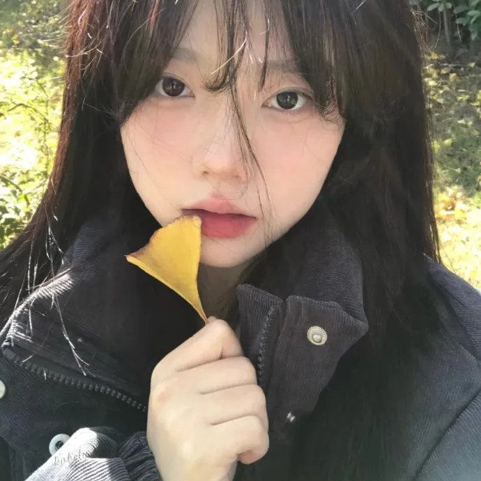 孤驰无归