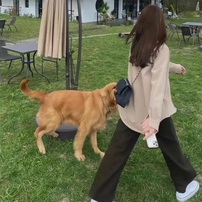 聂荣臻