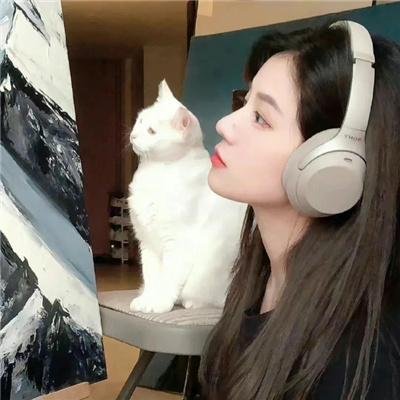 青山不墨